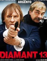 13 Elmas izle (2009)