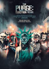 Arınma Gecesi 3: Seçim Yılı izle (2016)