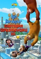 Ayı Kardeşler Kurtarma Operasyonu izle (2014)