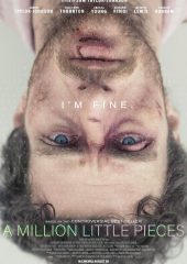 Bir Milyon Küçük Parça izle (2018)