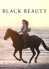 Black Beauty izle (2020)