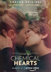 Chemical Hearts izle (2020)