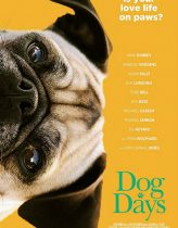 Dog Days izle (2018)