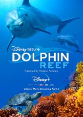 Dolphin Reef izle (2018)