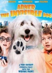 Görünmez Köpek izle (2013)