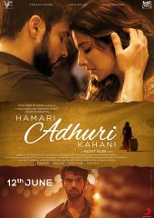 Hamari Adhuri Kahani izle (2015)