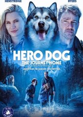 Hero Dog: The Journey Home izle (2021)