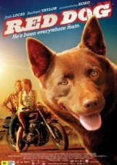 Kırmızı Köpek izle (2011)