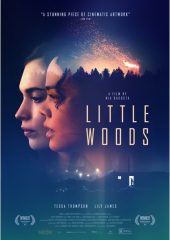 Little Woods izle (2018)