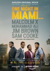 Miami’de Bir Gece izle (2020)