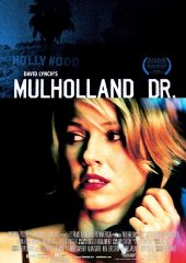 Mulholland Çıkmazı izle (2001)