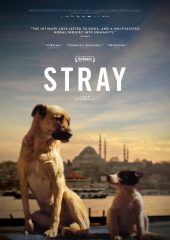 Stray izle (2020)