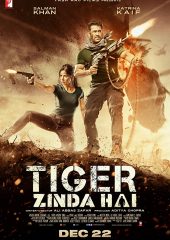 Tiger Zinda Hai izle (2017)