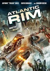 Atlantik Savaşı izle (2013)