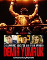 Demir Yumruk izle (2016)