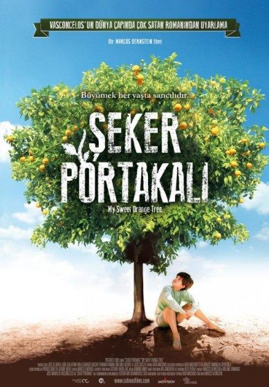 Şeker Portakalı izle (2012)