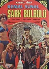 Şark Bülbülü izle (1979)