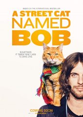 Sokak Kedisi Bob izle (2016)