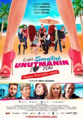 Eski Sevgiliyi Unutmanın 10 Yolu izle (2015)