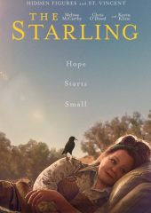 The Starling izle (2021)