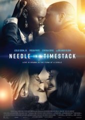 Needle in a Timestack izle (2021)