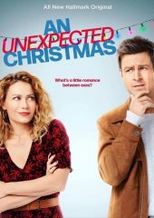 An Unexpected Christmas izle (2021)