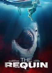 The Requin izle (2022)