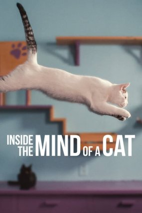 Inside the Mind of a Cat izle (2022)