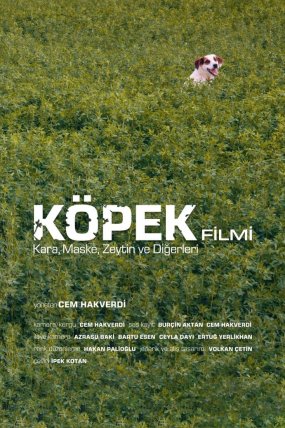 Köpek Filmi izle (2019)